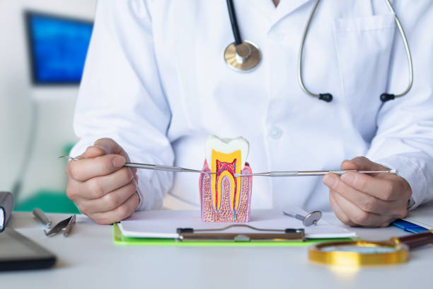 Best Knocked-Out Tooth (Avulsed Tooth) Treatment in Mpo, CA
